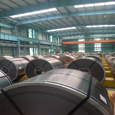 5mm Hot Rolled 304l Stainless Steel Coil 304 310, 2507 Duplex Steel Coil